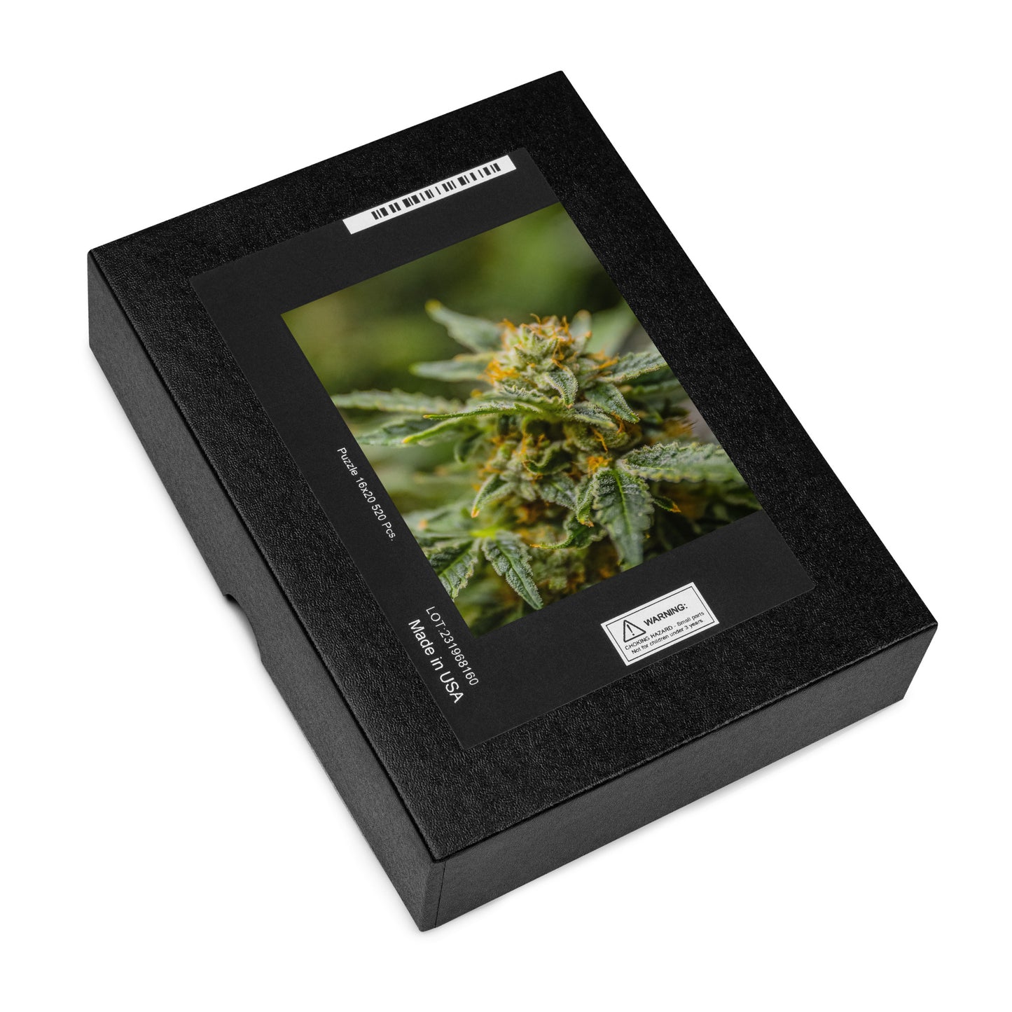 Canna-Jigsaw Puzzle with Flower Picture