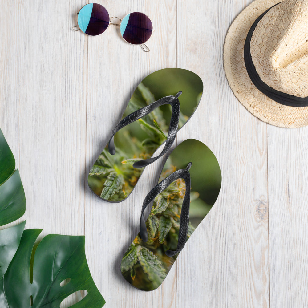 Canna-Flip-Flops