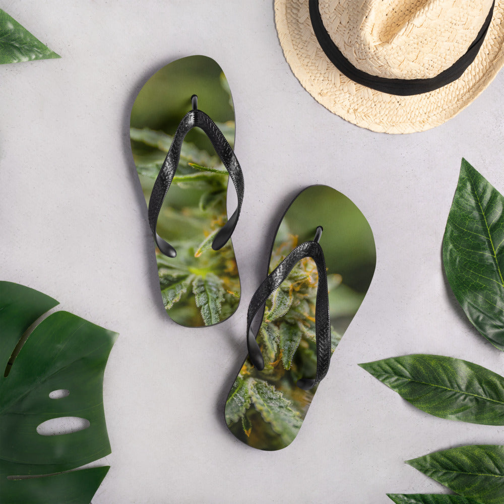 Canna-Flip-Flops